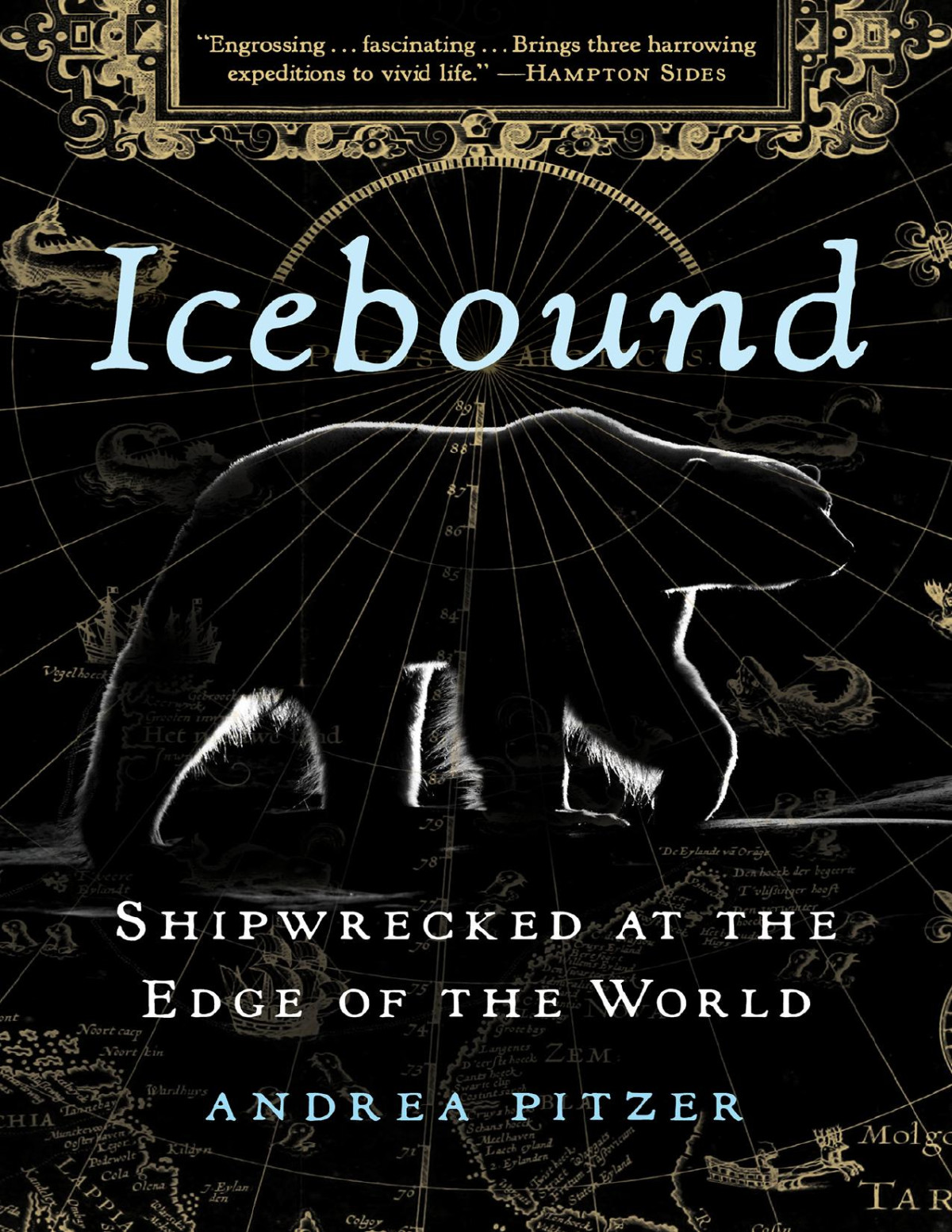 Icebound Shipwrecked At The Edge Of The World Andrea Pitzer