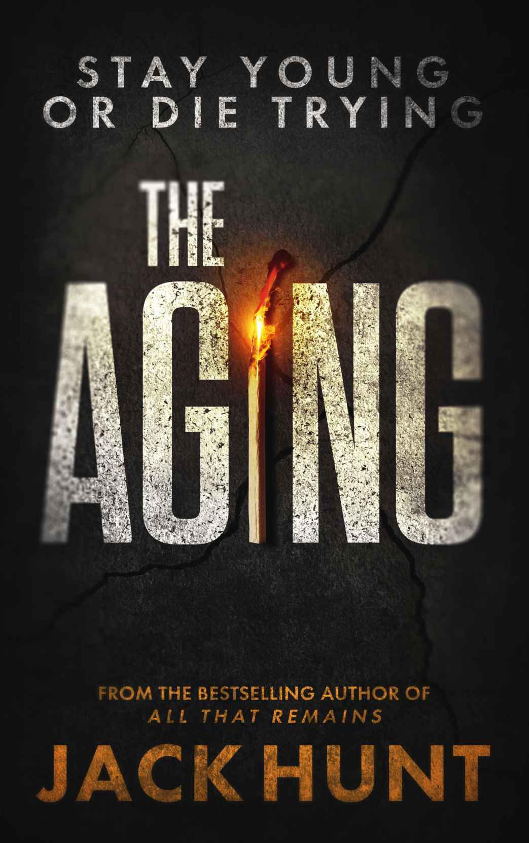The Aging A Novel Jack Hunt