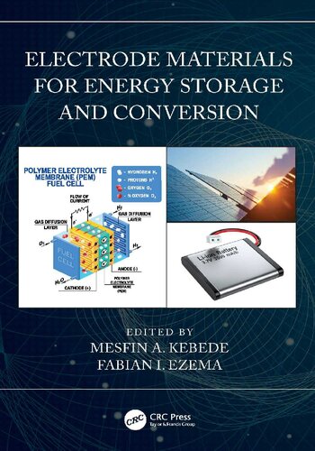 Electrode Materials For Energy Storage And Conversion 1st Edition Mesfin A Kebede