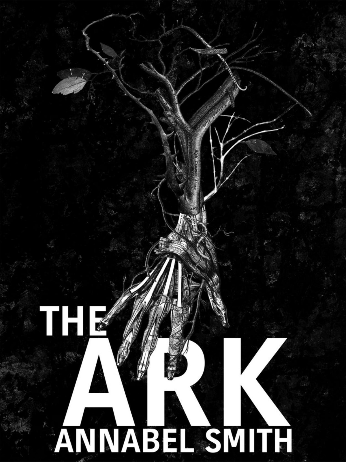 The Ark Annabel Smith
