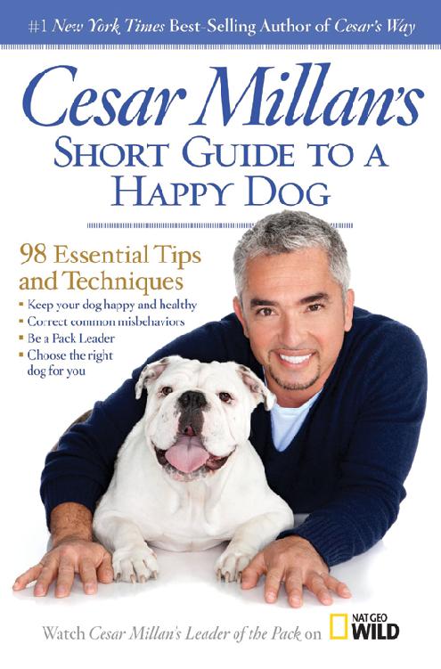 Cesar Millans Short Guide To A Happy Dog Cesar Millan