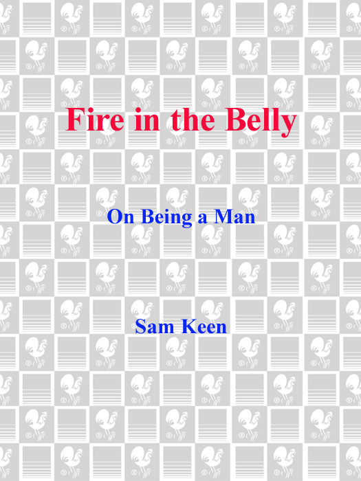 Fire In The Belly Sam Keen