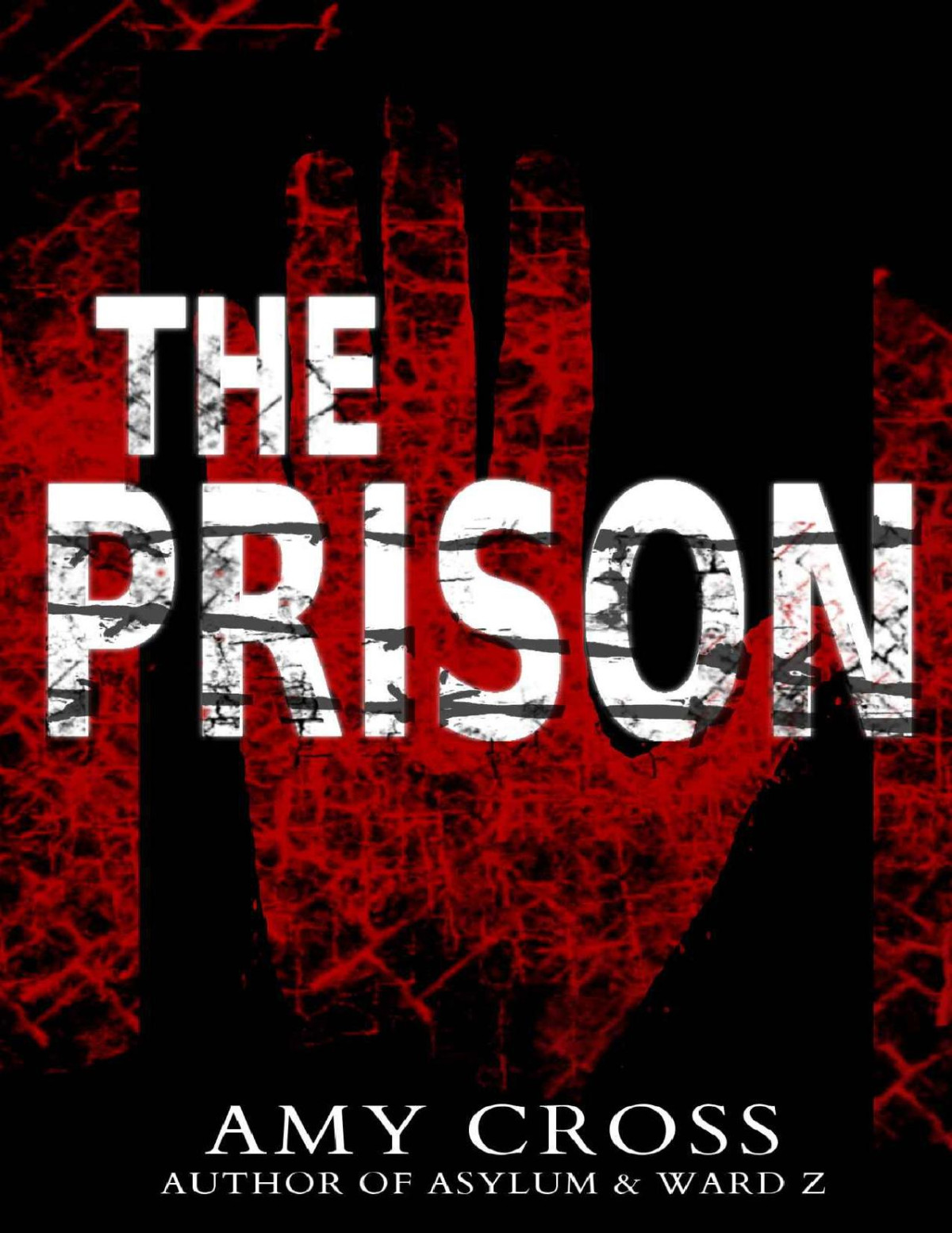 The Prison Amy Cross