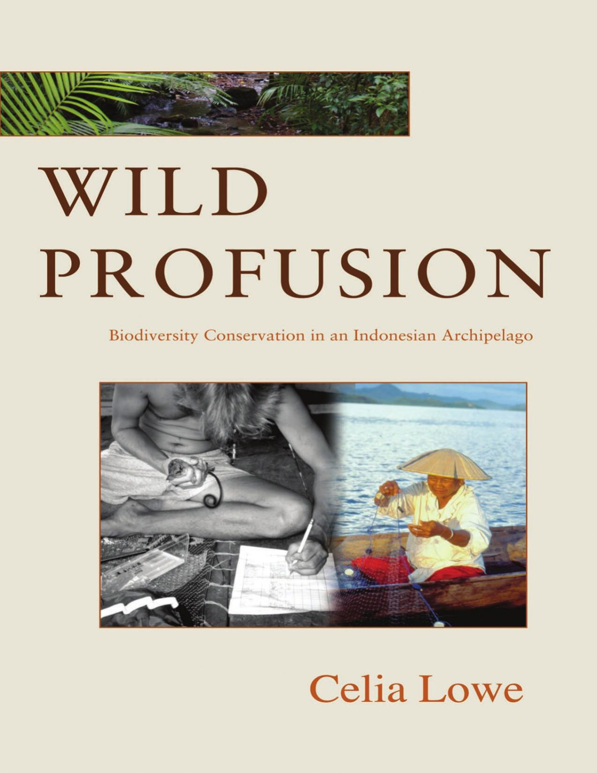 Wild Profusion Biodiversity Conservation In An Indonesian Archipelago Celia Lowe
