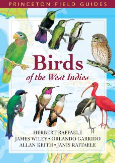 Birds Of The West Indies Herbert A Raffaele James Wiley Orlando H Garrido Allan Keith Janis I Raffaele