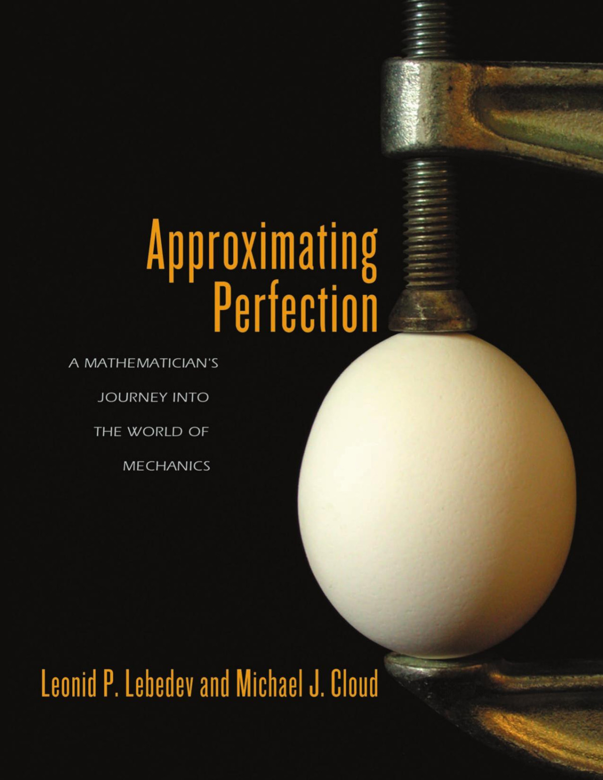 Approximating Perfection A Mathematicians Journey Into The World Of Mechanics L P Lebedev Michael J Cloud Michael Cloud