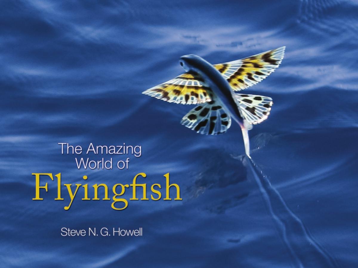 The Amazing World Of Flyingfish Steve N G Howell