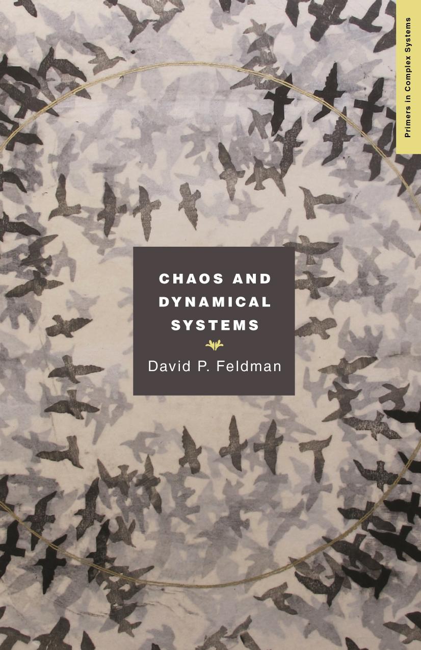 Chaos And Dynamical Systems David Feldman