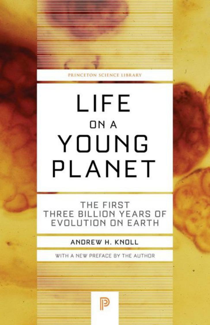 Life On A Young Planet Andrew H Knoll