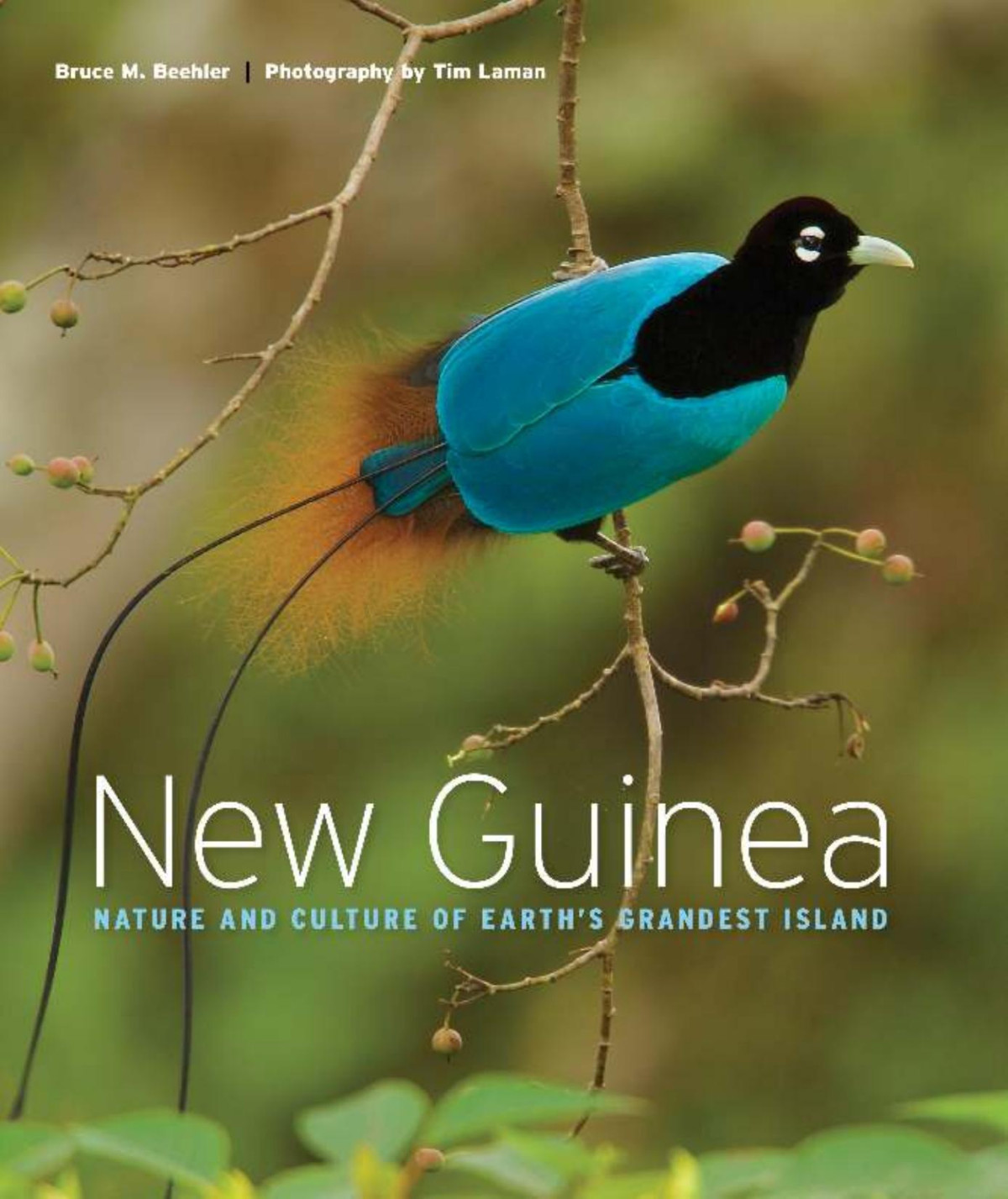 New Guinea Nature And Culture Of Earths Grandest Island Bruce M Beehler Tim Laman