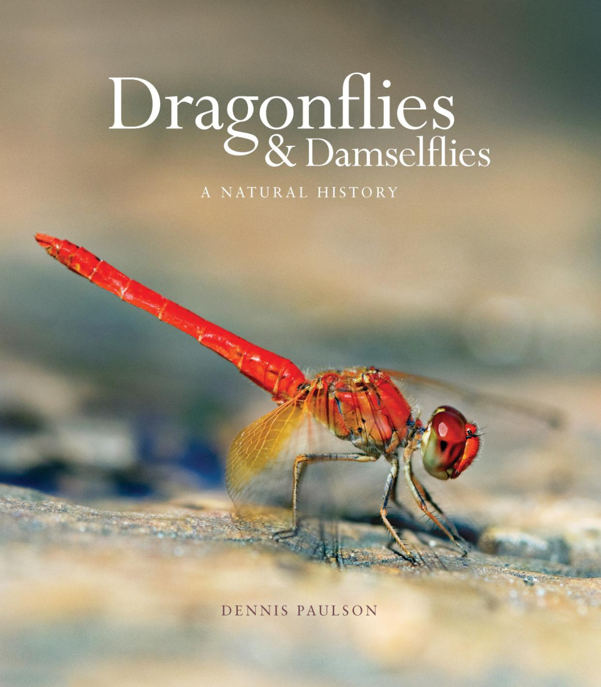 Dragonflies Damselflies Dennis Paulson