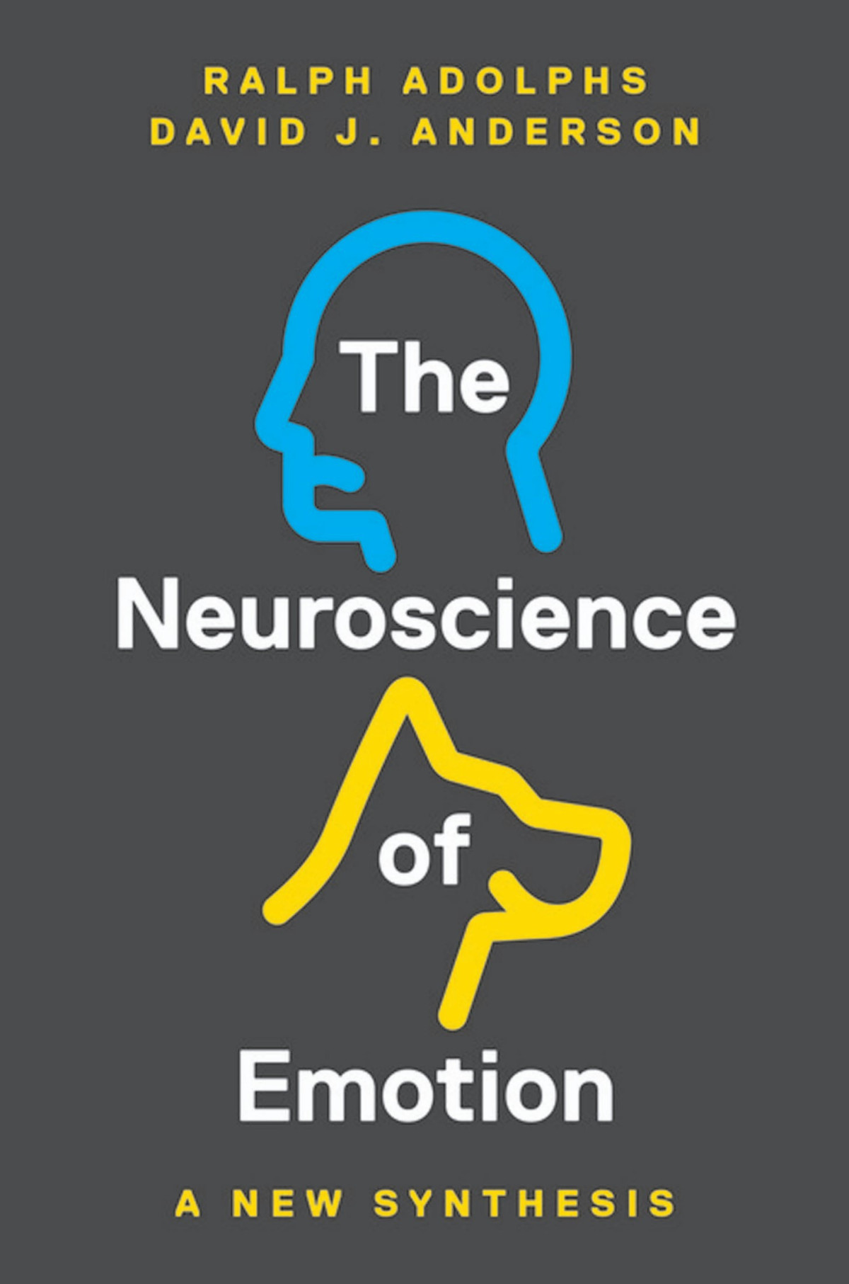 The Neuroscience Of Emotion A New Synthesis Ralph Adolphs