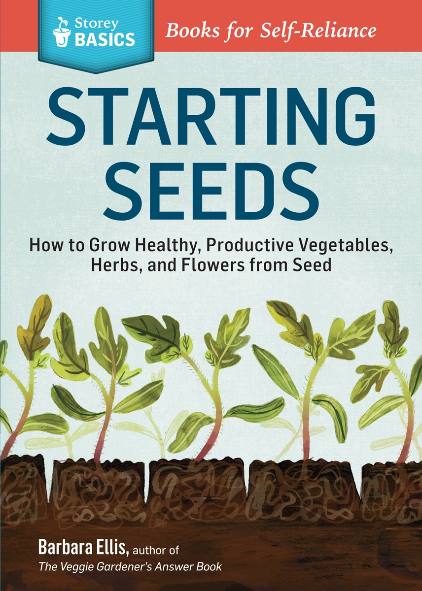 Starting Seeds Barbara Ellis