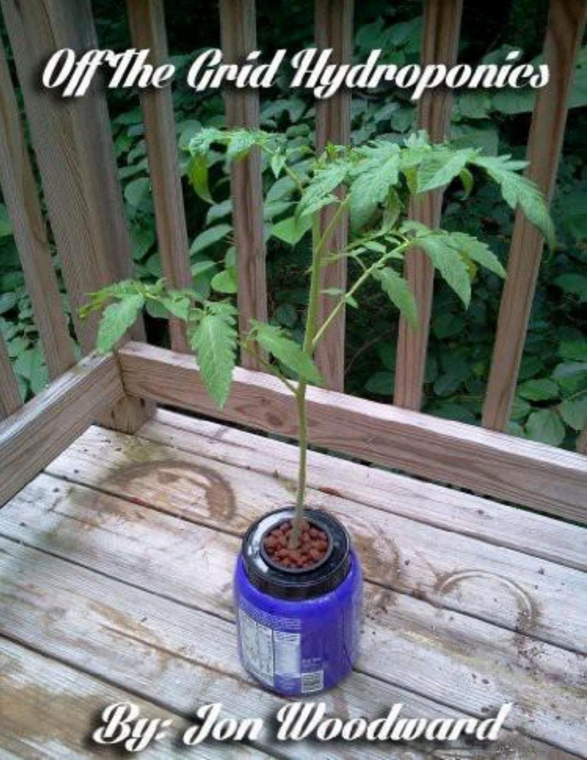 Off The Grid Hydroponics No Power Needed Jon Woodward