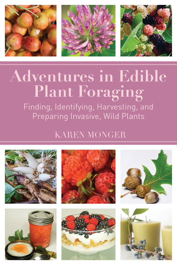Adventures In Edible Plant Foraging Karen Monger