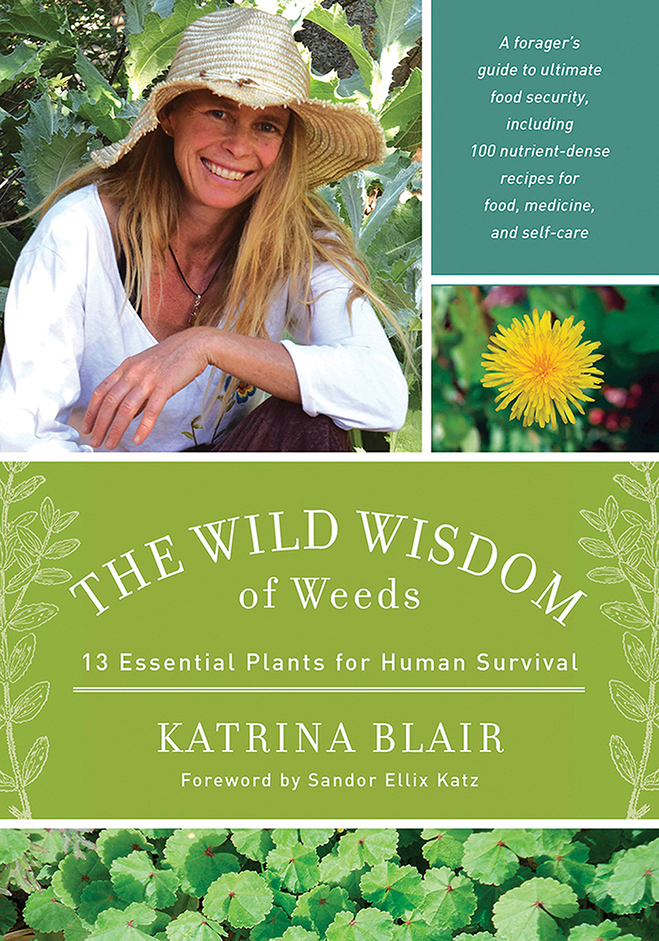 The Wild Wisdom Of Weeds Katrina Blair