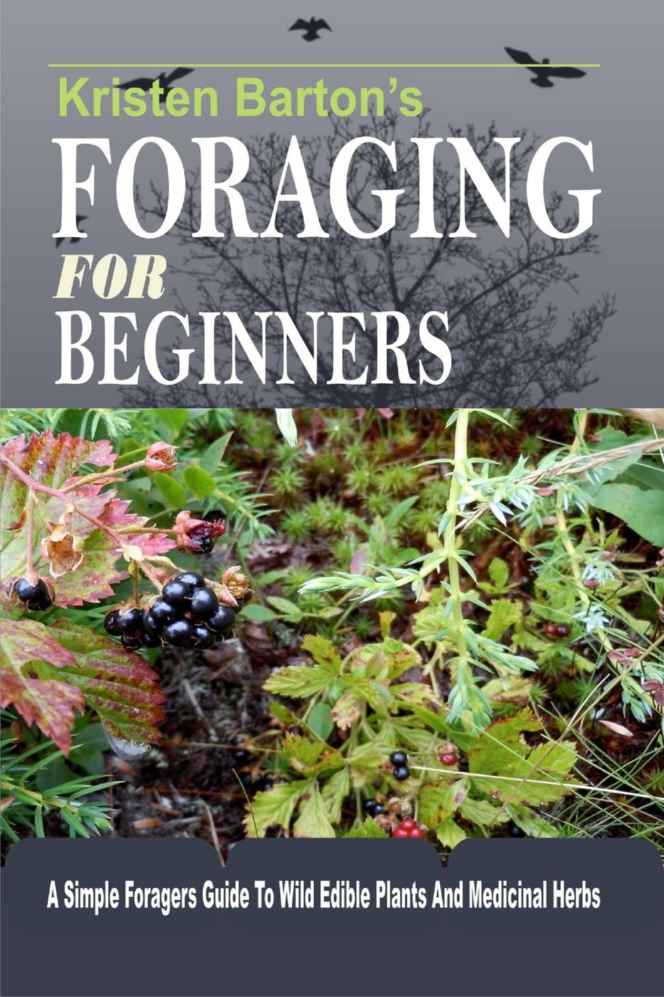 Foraging For Beginners Kristen Barton
