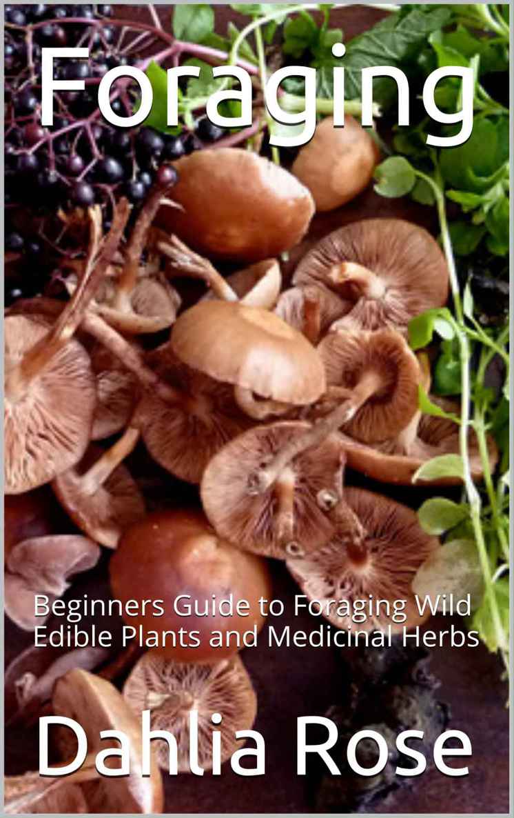 Foraging Beginners Guide To Foraging Wild Edible Plants And Medicinal Herbs Rose