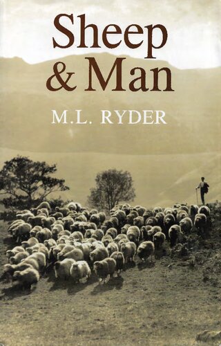 Sheep And Man Michael L Ryder