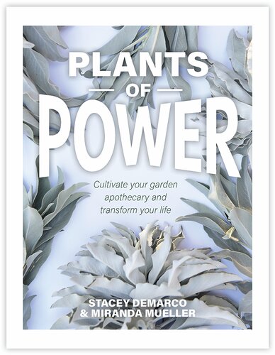 Plants Of Power Cultivate Your Garden Apothecary And Transform Your Life Stacey Demarco