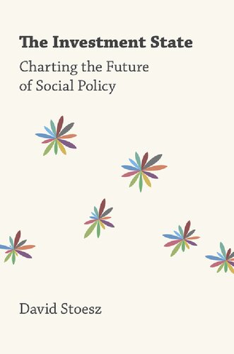 The Investment State Charting The Future Of Social Policy 1st Edition David Stoesz