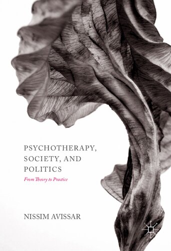 Psychotherapy Society And Politics From Theory To Practice Nissim Avissar