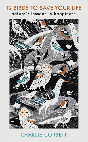 12 Birds To Save Your Life Natures Lessons In Happiness Charlie Corbett