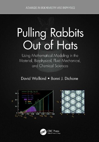 Pulling Rabbits Out Of Hats Using Mathematical Modeling In The Material Biophysical Fluid Mechanical And Chemical Sciences 1st Edition David Wollkind
