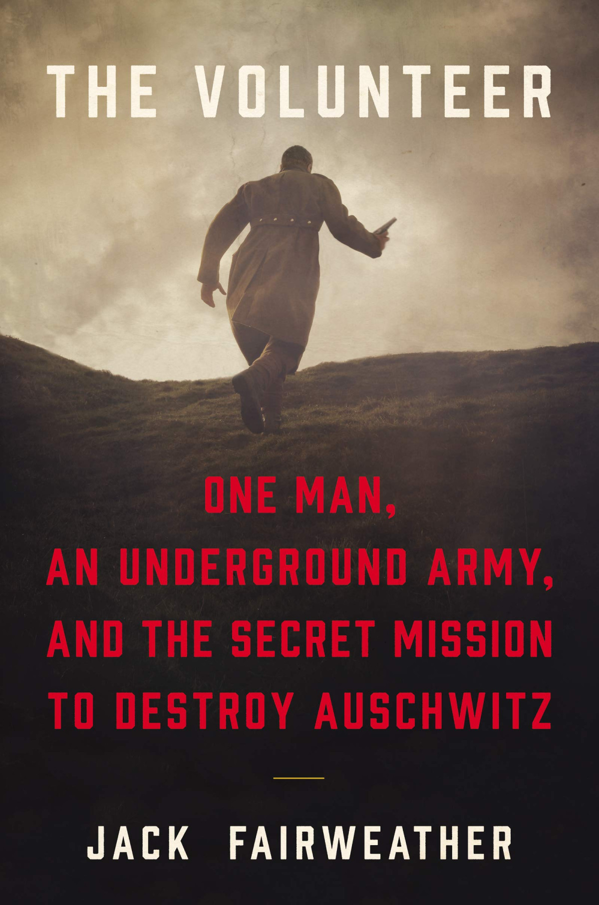 The Volunteer The True Story Of The Resistance Hero Who Infiltrated Auschwitz Reprint Fairweather