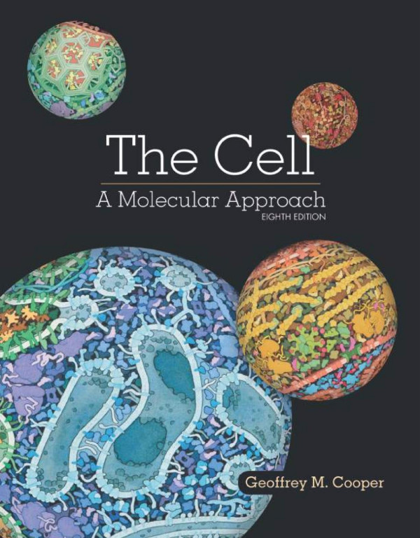The Cell A Molecular Approach By Geoffrey M Cooper 8th Edition Geoffrey M Cooper