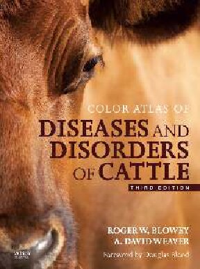 Color Atlas Of Diseases And Disorders Of Cattle 3rd Edition Roger William Blowey