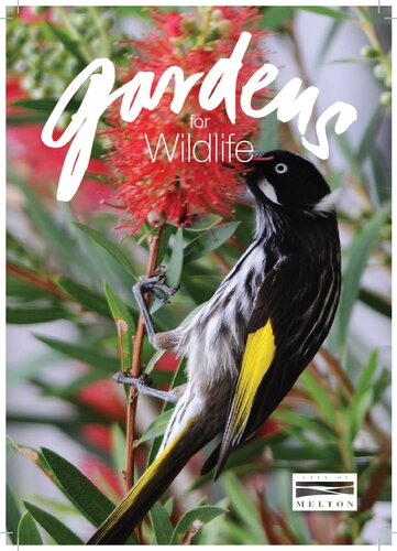 Gardens For Wildlife Melton Green Gecko Publications