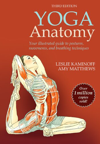 Yoga Anatomy 3rd Edition Leslie Kaminoff Amy Matthews