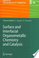 Surface And Interfacial Organometallic Chemistry And Catalysis 1st Edition C Copret