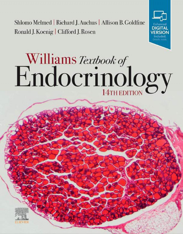 Williams Textbook Of Endocrinology Fourteenth Edition 14th Shlomo Melmed Shlomo Melmed