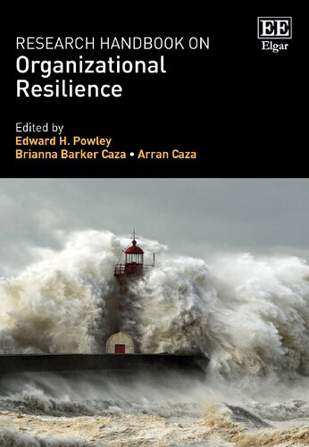 Research Handbook On Organizational Resilience Edward H Powley Editor