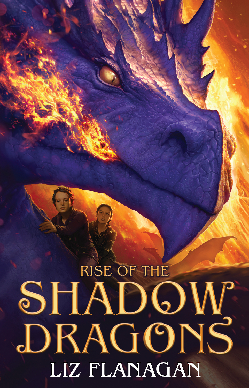 Rise Of The Shadow Dragons Liz Flanagan