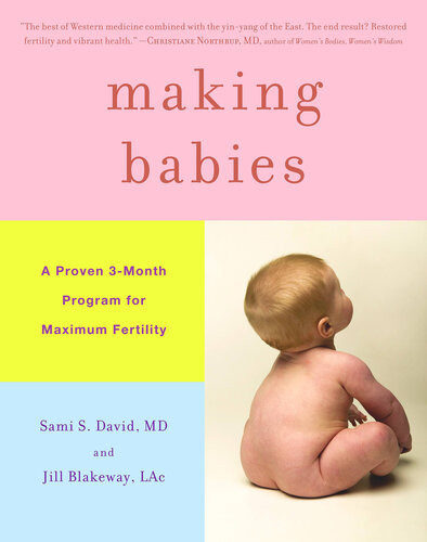 Making Babies A Proven 3month Program For Maximum Fertility Sami S David Jill Blakeway