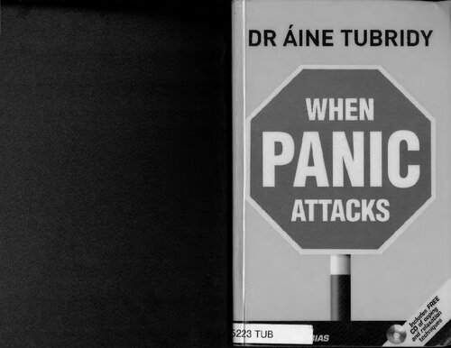 When Panic Attacks Aine Tubridy
