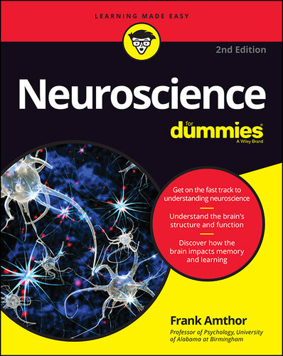 Neuroscience For Dummies Frank Amthor