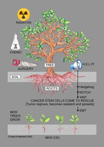 Surviving Cancer Covid19 And Disease The Repurposed Drug Revolution Justus R Hope