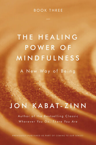 The Healing Power Of Mindfulness Jon Kabatzinn