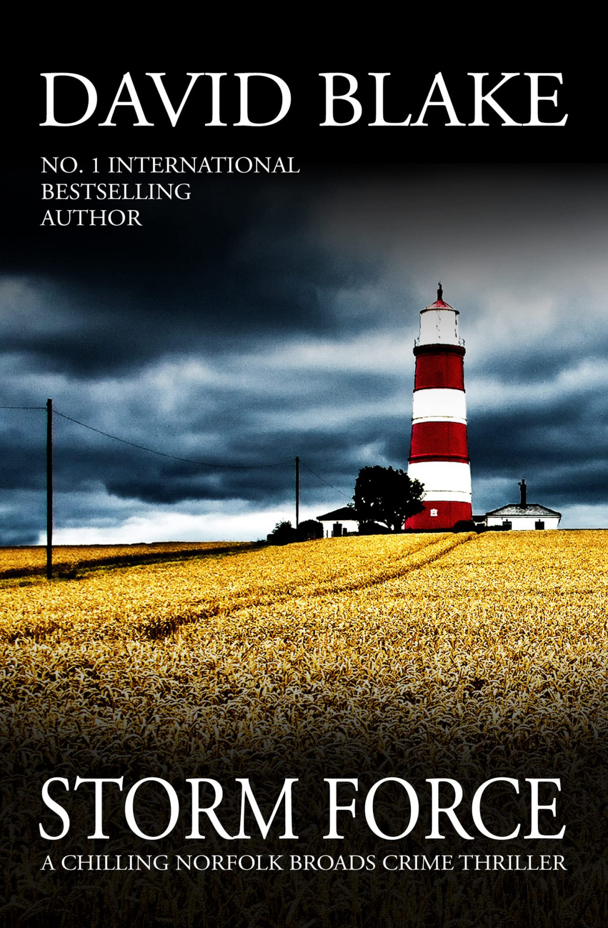 Storm Force A Chilling Norfolk Broads Crime Thriller British Detective Tanner Murder Mystery Series Book 7 David Blake