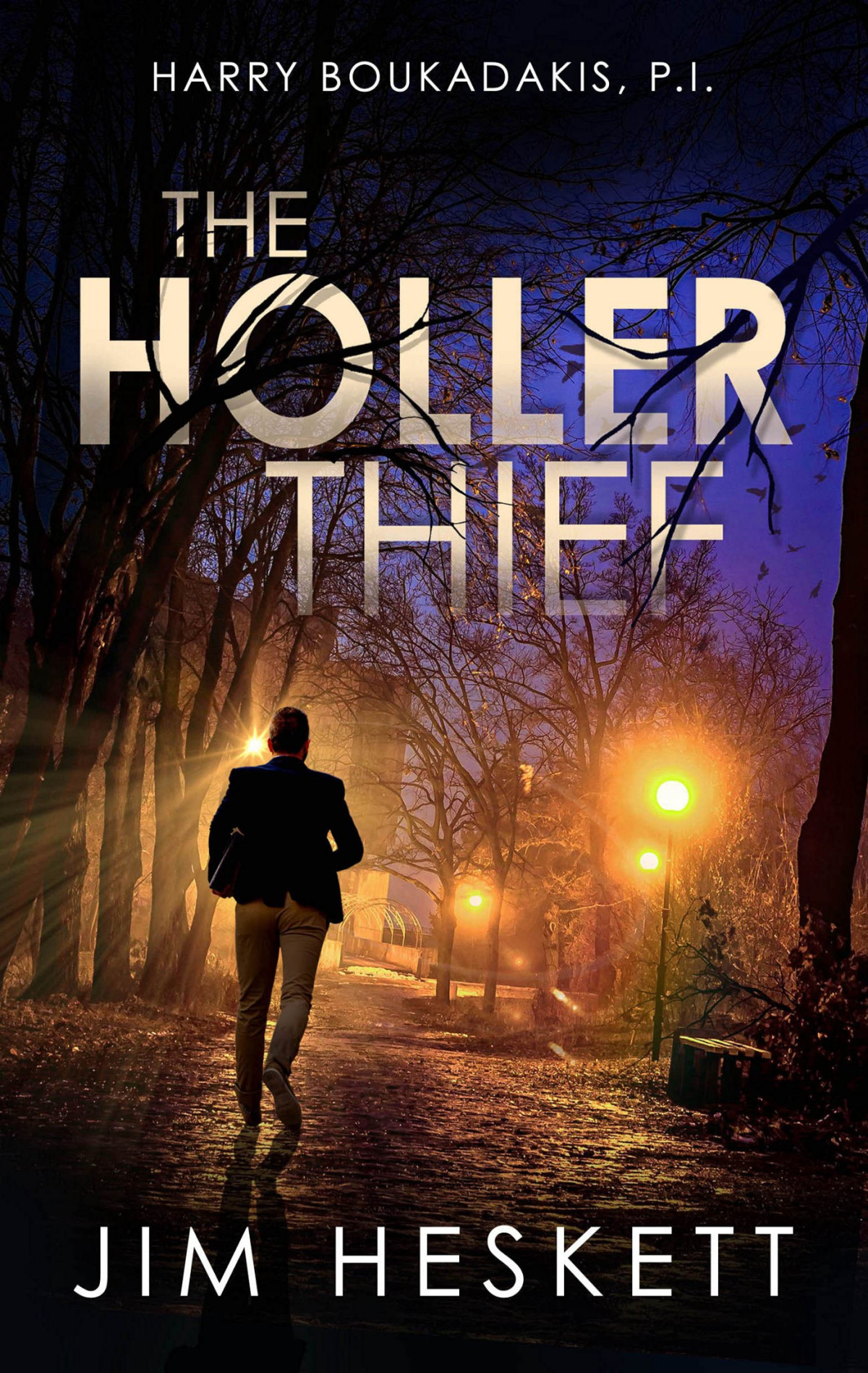The Holler Thief A Private Eye Mystery Jim Heskett