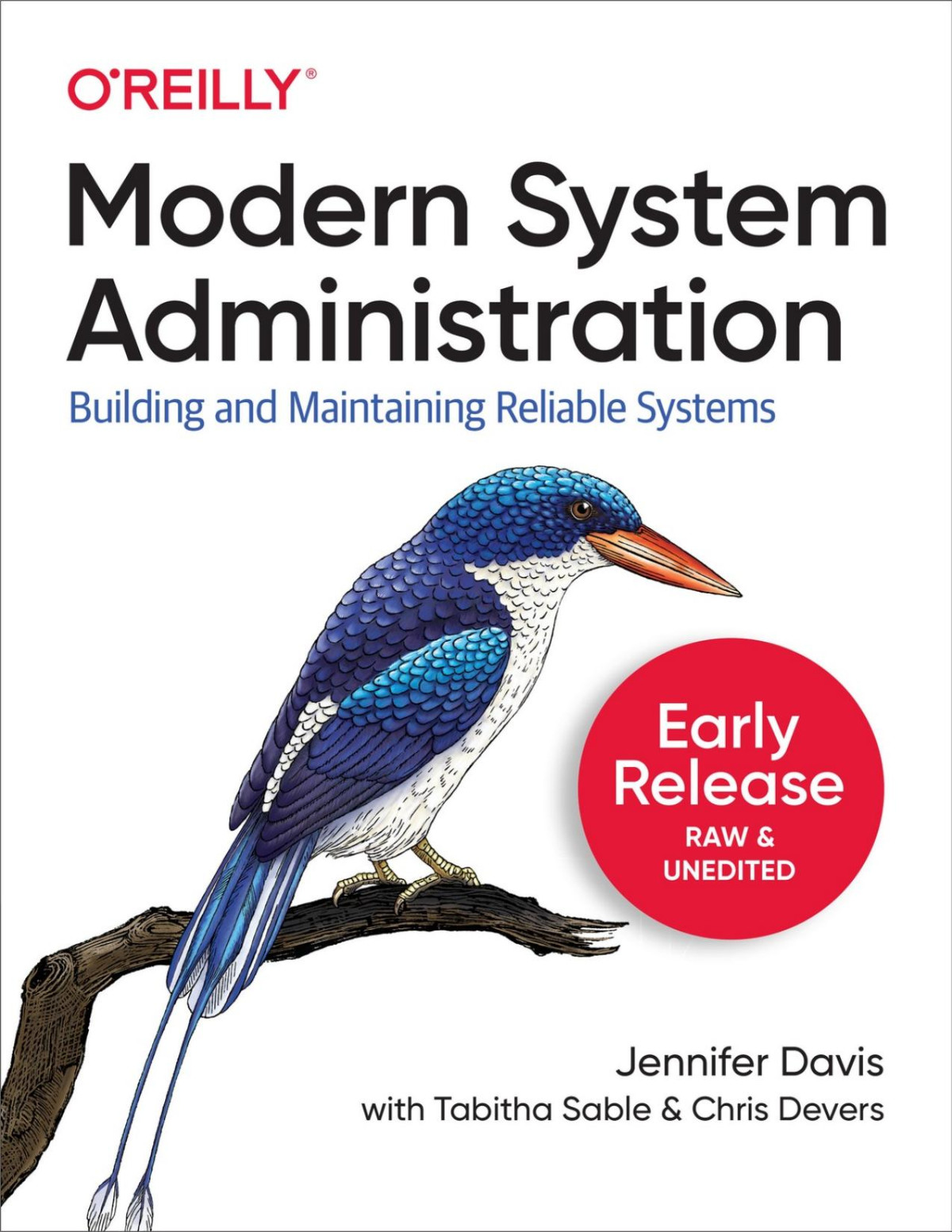 Modern System Administration Building And Maintaining Reliable Systems Ninth Early Release 1st Edition Jennifer Davis Tabitha Sable