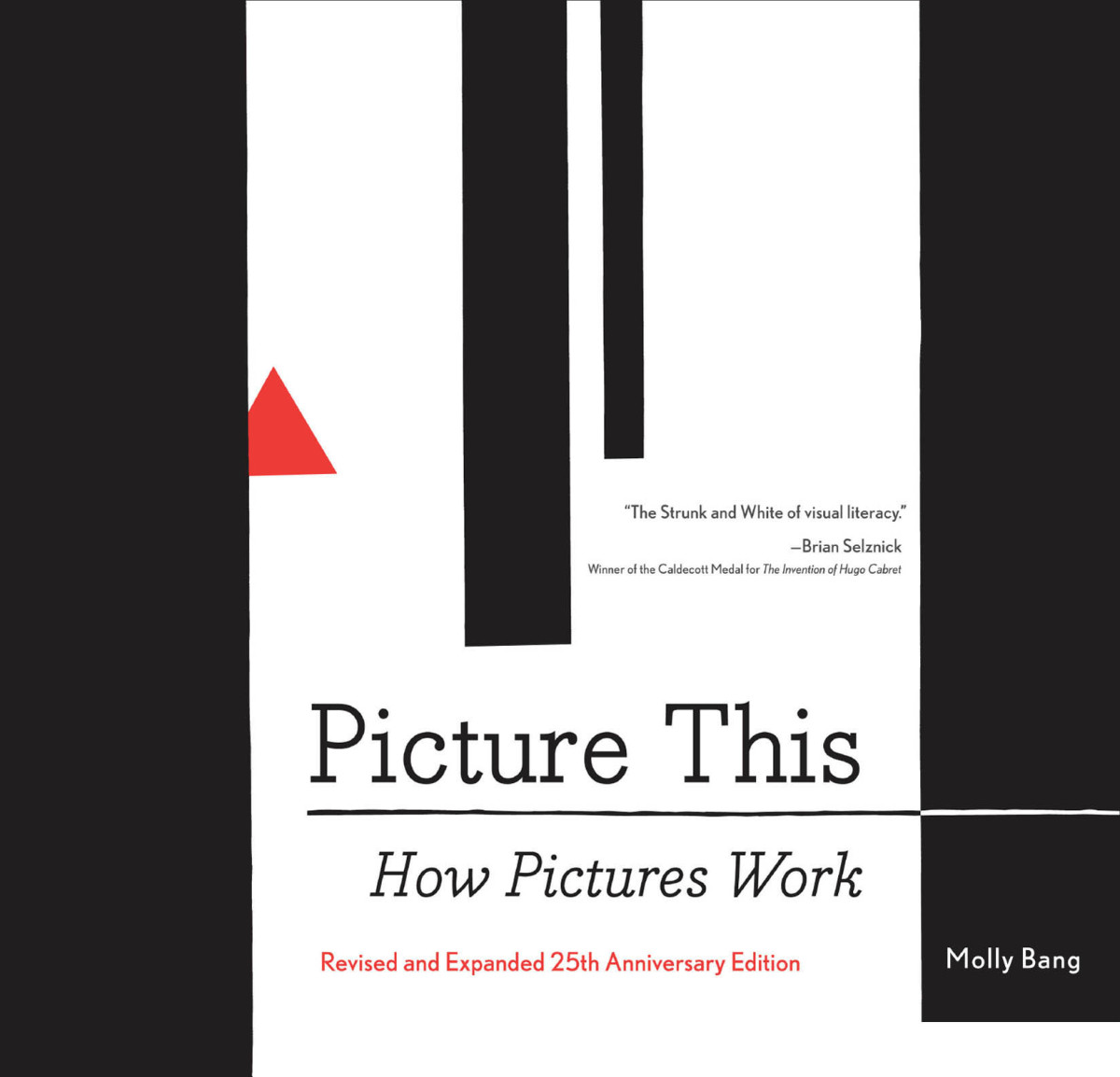 Picture This How Pictures Work