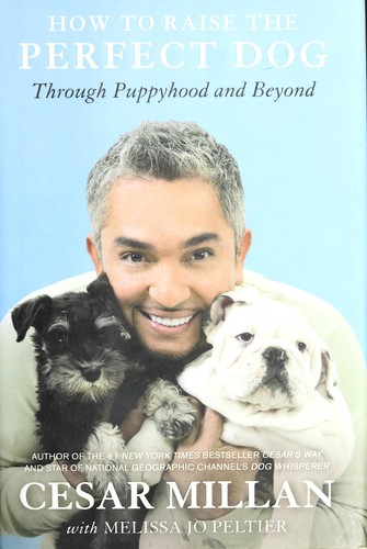 How To Raise The Perfect Dog Through Puppyhood And Beyond Cesar Millan