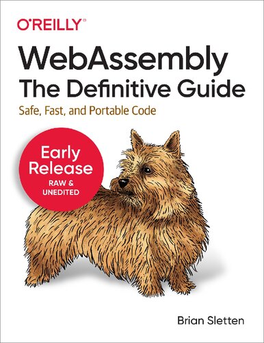 Webassembly The Definitive Guide Safe Fast And Portable Code Early Release 1st Edition Brian Sletten