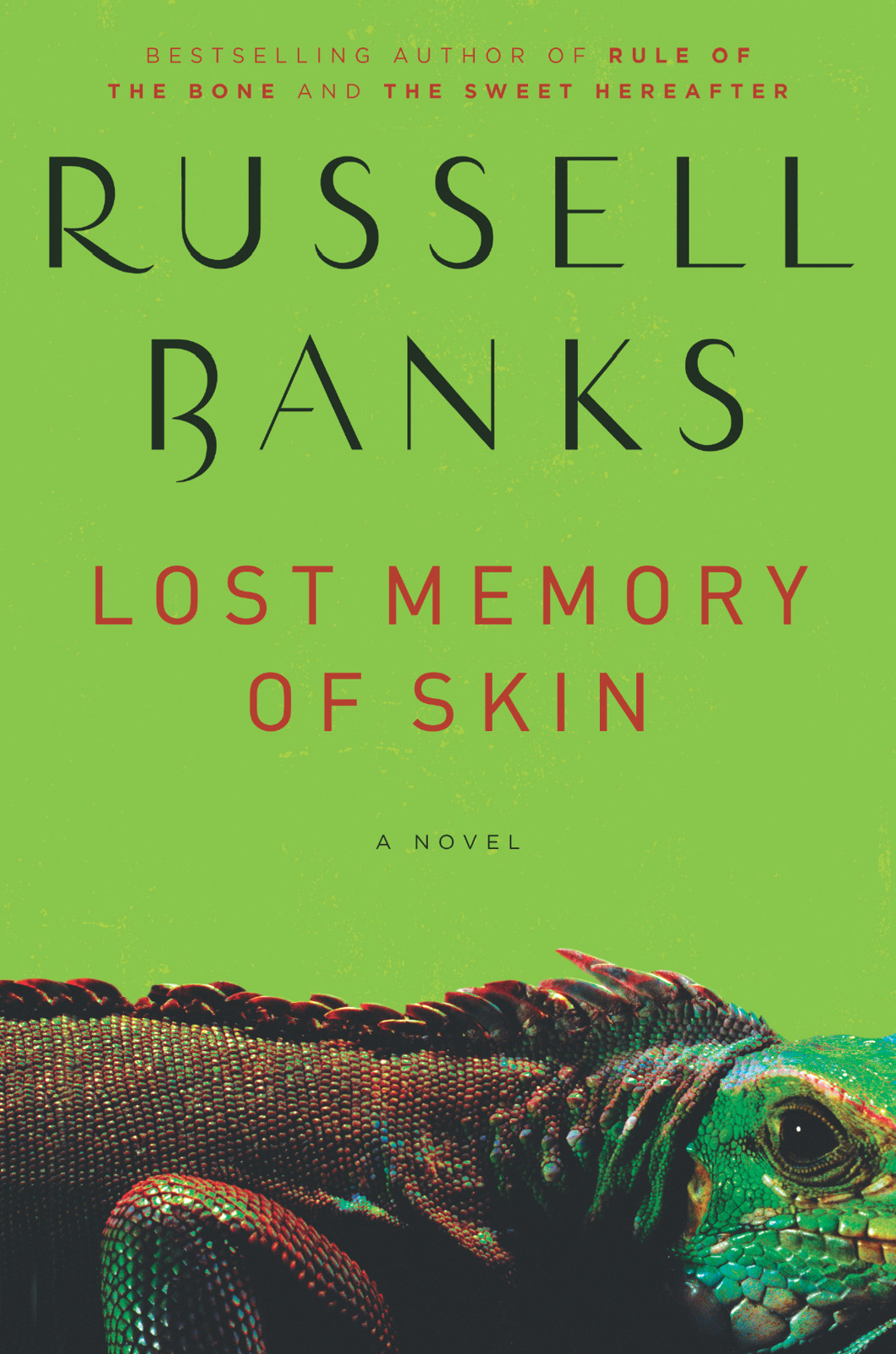 Lost Memory Of Skin Russell Banks