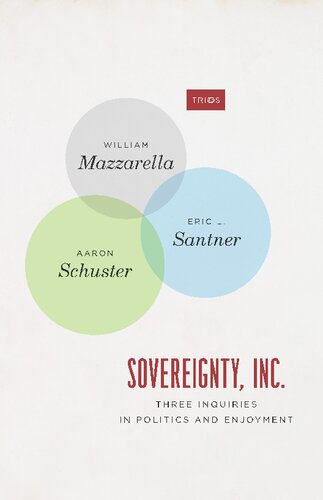 Sovereignty Inc Three Inquiries In Politics And Enjoyment 1st Edition William Mazzarella